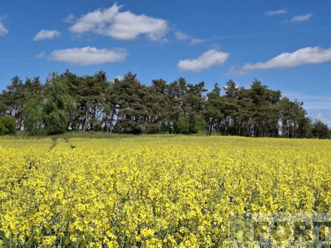 Działka Sprzedaż Parsów 1