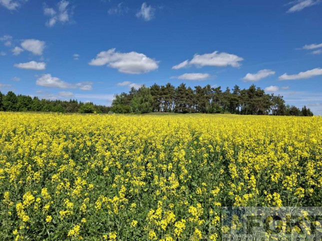 Działka Sprzedaż Parsów 6