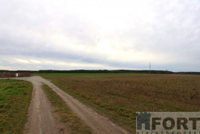 Działka Sprzedaż Przybiernów