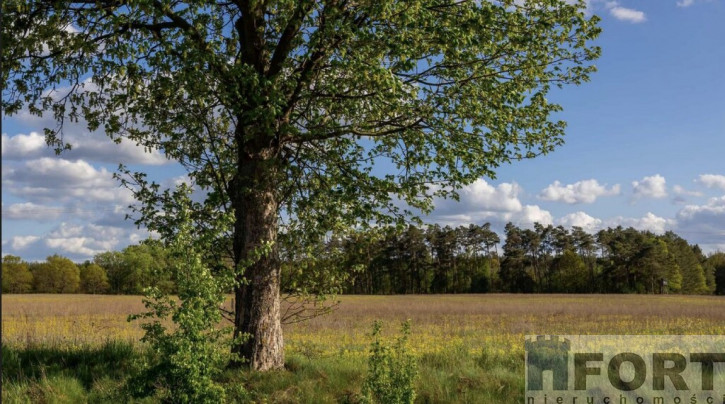 Działka Sprzedaż Jarnatów 1