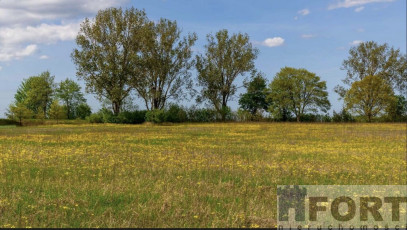 Działka Sprzedaż Jarnatów