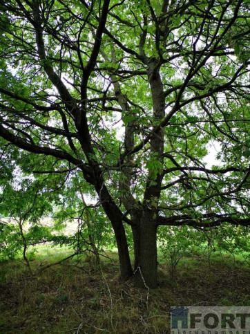 Działka Sprzedaż Świeszewo 5