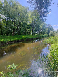 Działka Sprzedaż Żarowo