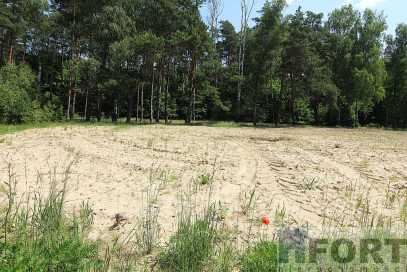 Działka Sprzedaż Grabowo