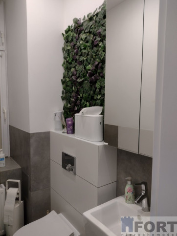 Lokal Wynajem Szczecin Centrum 7