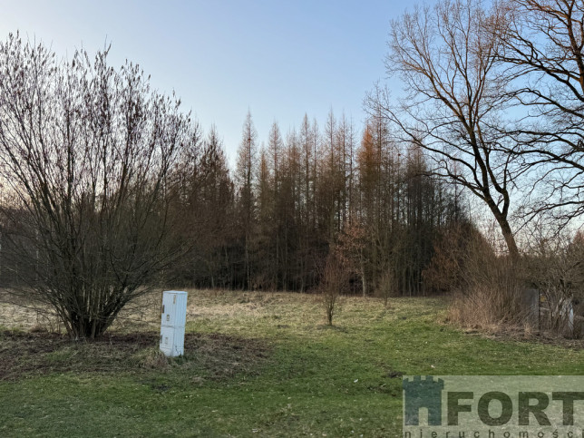 Działka Sprzedaż Błotno Błotny Młyn 5