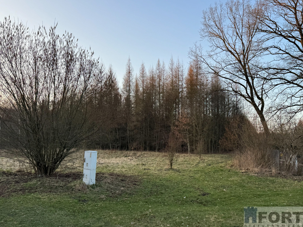 Działka Sprzedaż Błotno Błotny Młyn