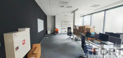 Lokal Wynajem Szczecin Centrum