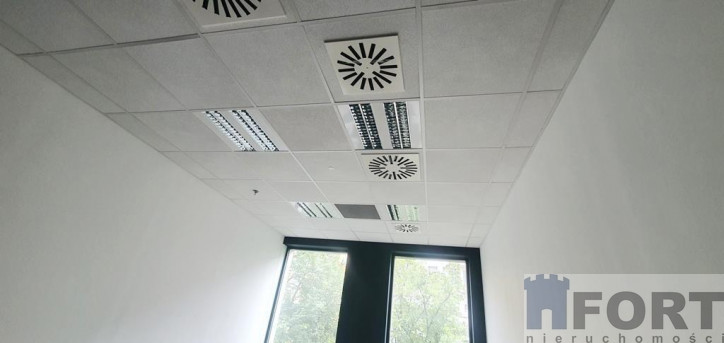 Lokal Wynajem Szczecin Centrum 10