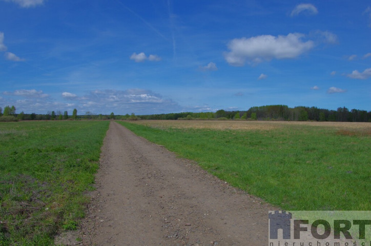 Działka Sprzedaż Niedźwiedź 8