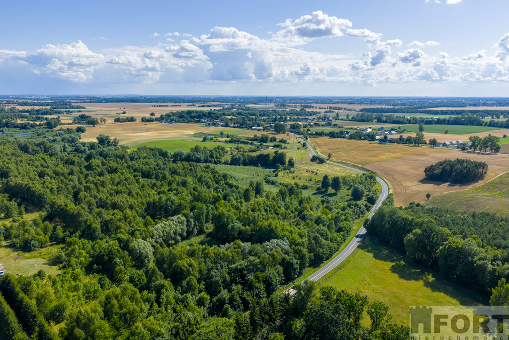 Działka Sprzedaż Grabowo