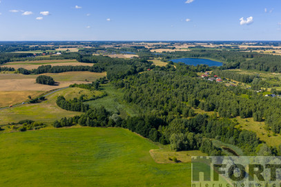 Działka Sprzedaż Grabowo