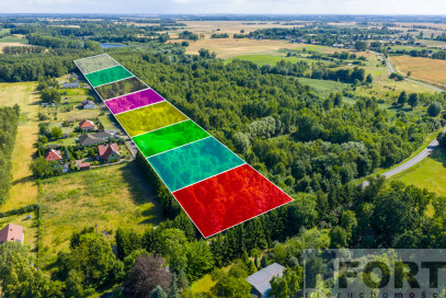 Działka Sprzedaż Grabowo