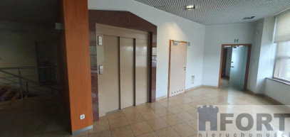 Lokal Wynajem Szczecin Śródmieście-Centrum
