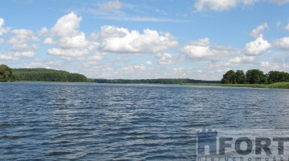 Działka Sprzedaż Dąbrowica