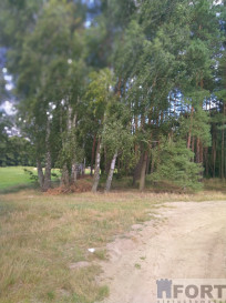 Działka Sprzedaż Tanowo Szczecińska