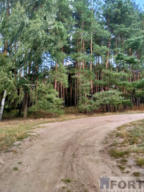 Działka Sprzedaż Tanowo Szczecińska