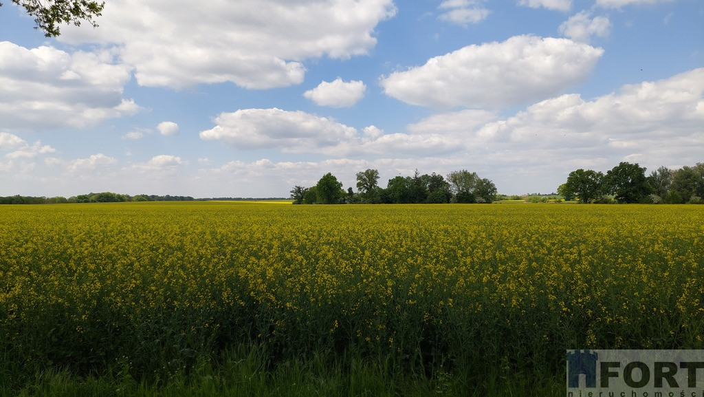 Działka Sprzedaż Mielno