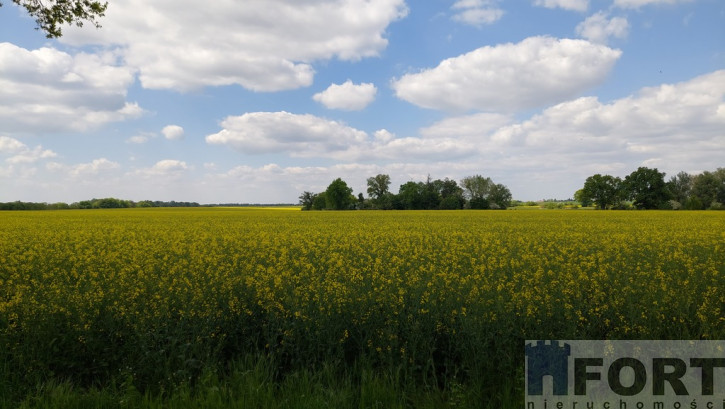 Działka Sprzedaż Mielno 2