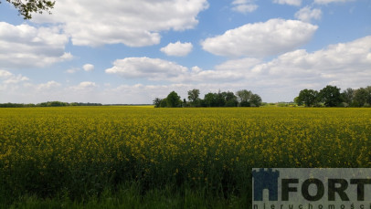 Działka Sprzedaż Mielno