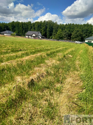 Działka Sprzedaż Grzepnica 3