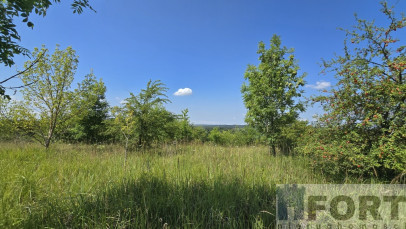 Działka Sprzedaż Radziszewo Liliowa