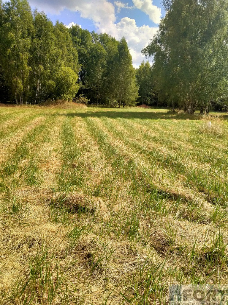 Działka Sprzedaż Grzepnica