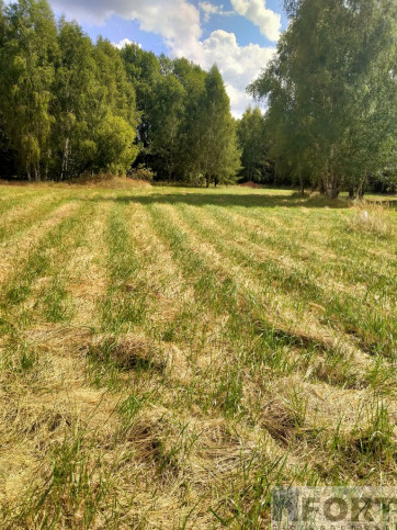 Działka Sprzedaż Grzepnica 1