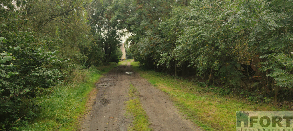 Działka Sprzedaż Barnisław