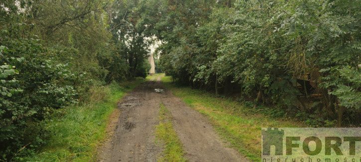 Działka Sprzedaż Barnisław 6