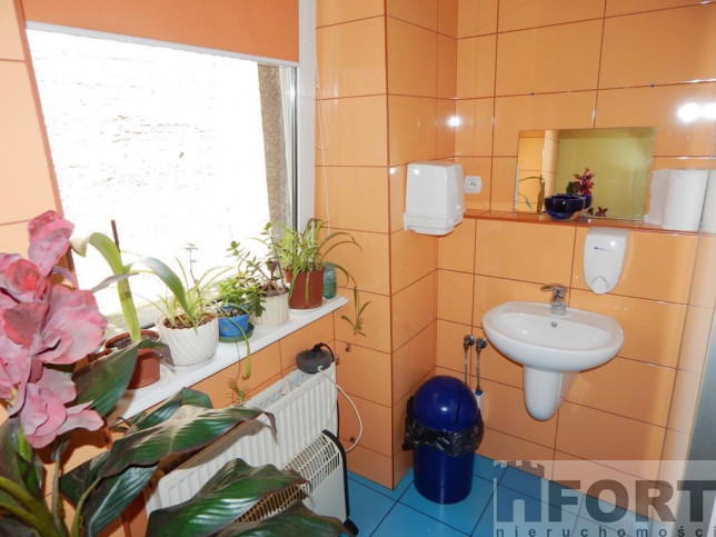 Lokal Wynajem Szczecin Śródmieście-Centrum 12