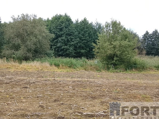 Działka Sprzedaż Stara Dąbrowa 14