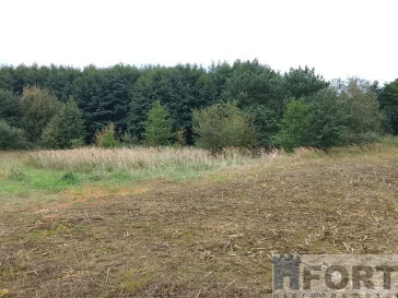 Działka Sprzedaż Stara Dąbrowa