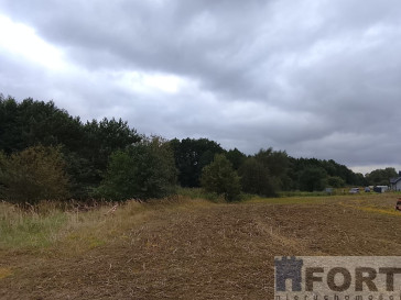 Działka Sprzedaż Stara Dąbrowa