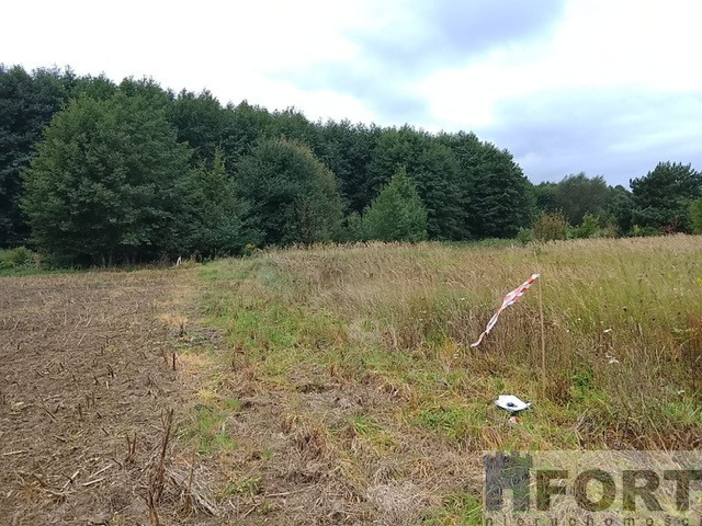 Działka Sprzedaż Stara Dąbrowa 18