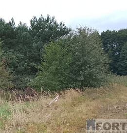 Działka Sprzedaż Stara Dąbrowa