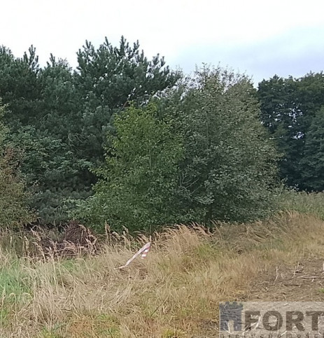 Działka Sprzedaż Stara Dąbrowa 23