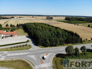 Działka Sprzedaż Kikorze