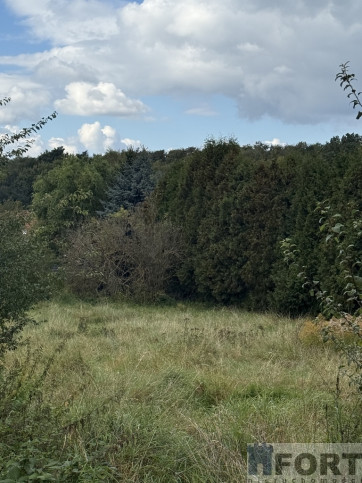 Działka Sprzedaż Szczecin Pilchowo 1