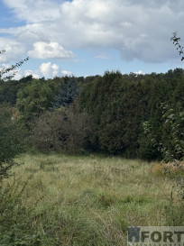 Działka Sprzedaż Szczecin Pilchowo