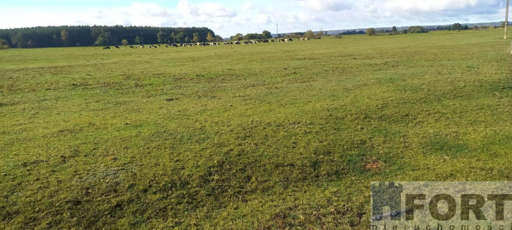 Działka Sprzedaż Borzysławiec 3