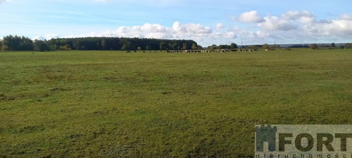 Działka Sprzedaż Borzysławiec 4