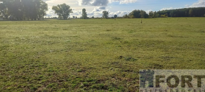 Działka Sprzedaż Borzysławiec