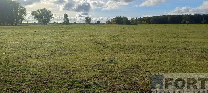 Działka Sprzedaż Borzysławiec 8