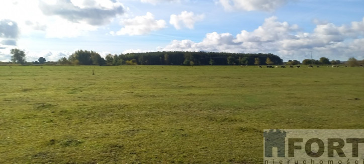 Działka Sprzedaż Borzysławiec 1