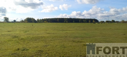 Działka Sprzedaż Borzysławiec