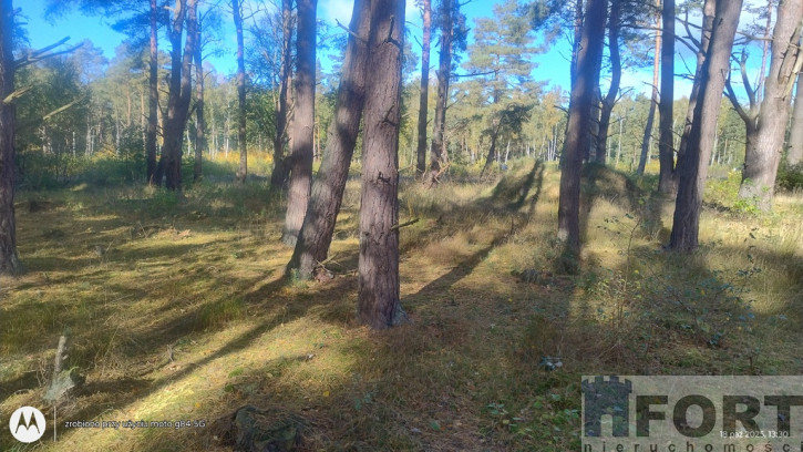 Działka Sprzedaż Dziwnów 1