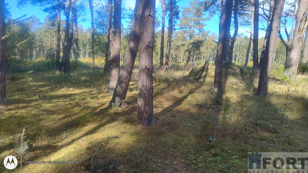 Działka Sprzedaż Dziwnów