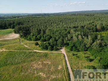Działka Sprzedaż Daleszewo