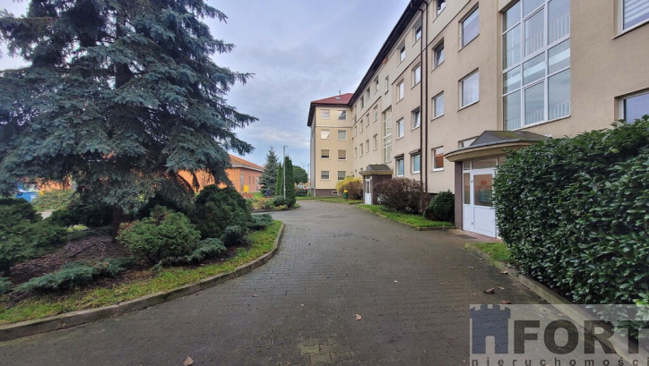 Mieszkanie Wynajem Szczecin Warszewo Duńska 11